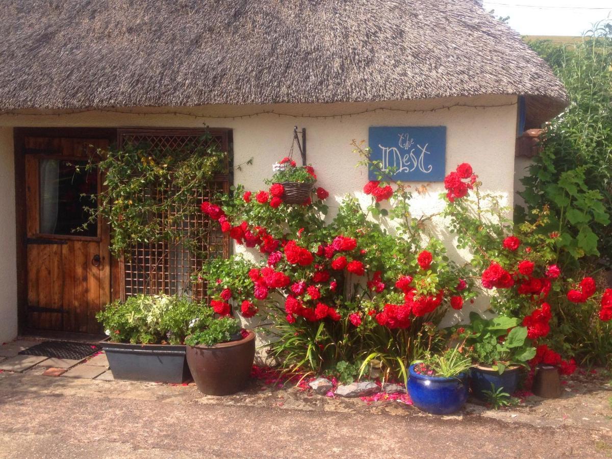 Stokeinteignhead The Nest - Thatched Seaside Country Cottage For Two מראה חיצוני תמונה