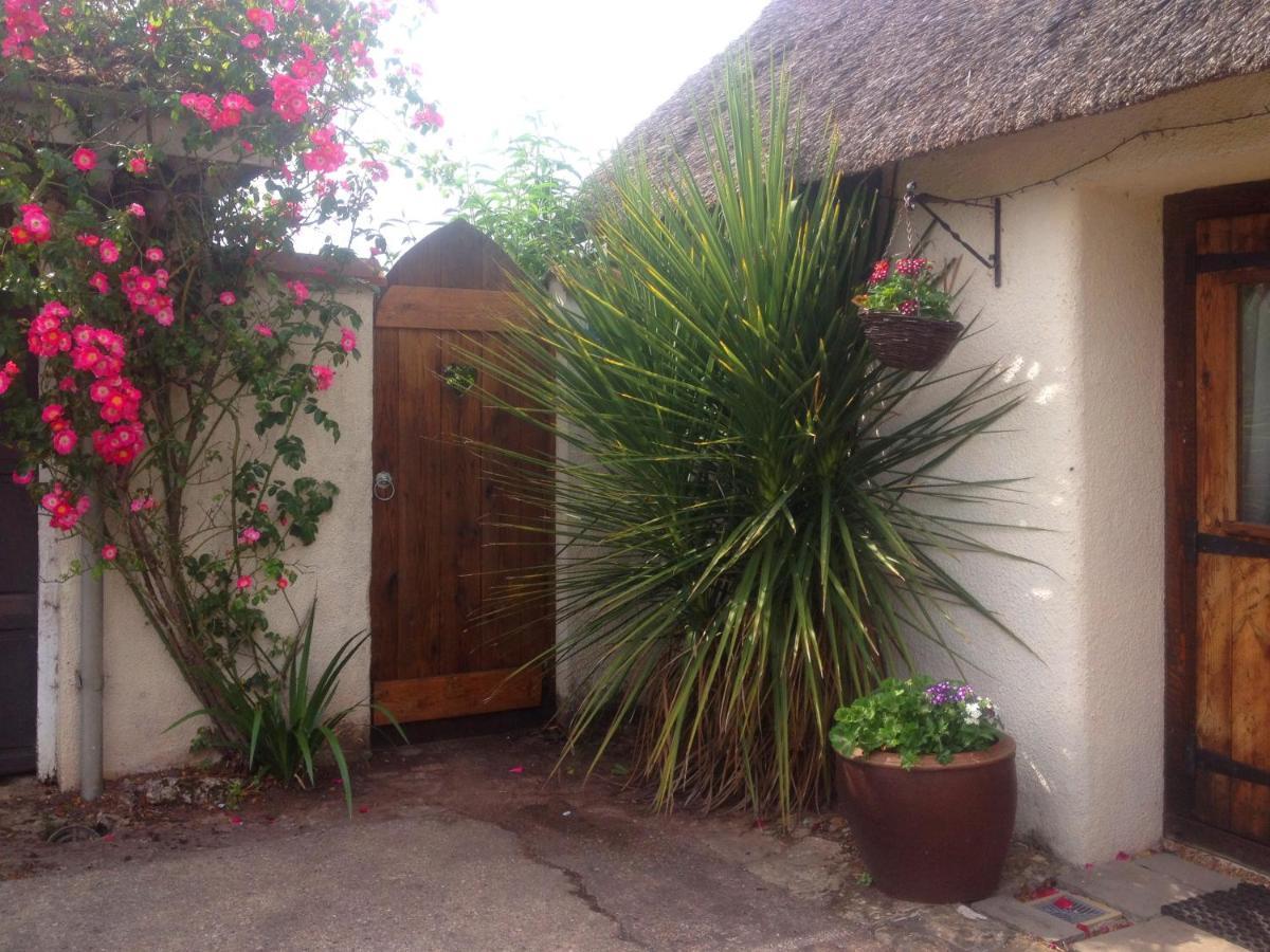 Stokeinteignhead The Nest - Thatched Seaside Country Cottage For Two מראה חיצוני תמונה